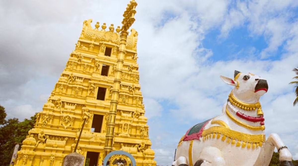 hyderabad-to-mallikarjun-taxi